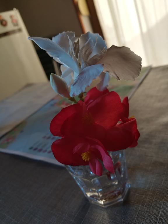 La Calletta 罗维尼 外观 照片