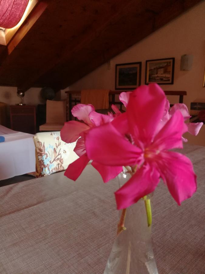 La Calletta 罗维尼 外观 照片
